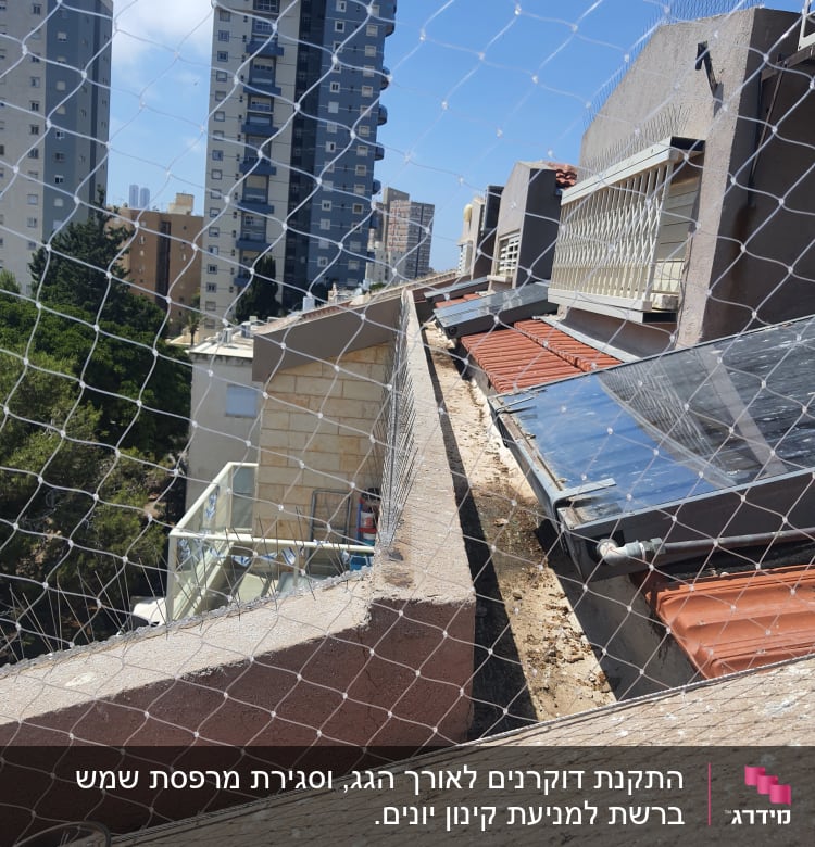 רשת למניעת כניסת יונים על גג בניין